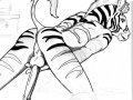 cs-zebra-sketch-sm.jpg